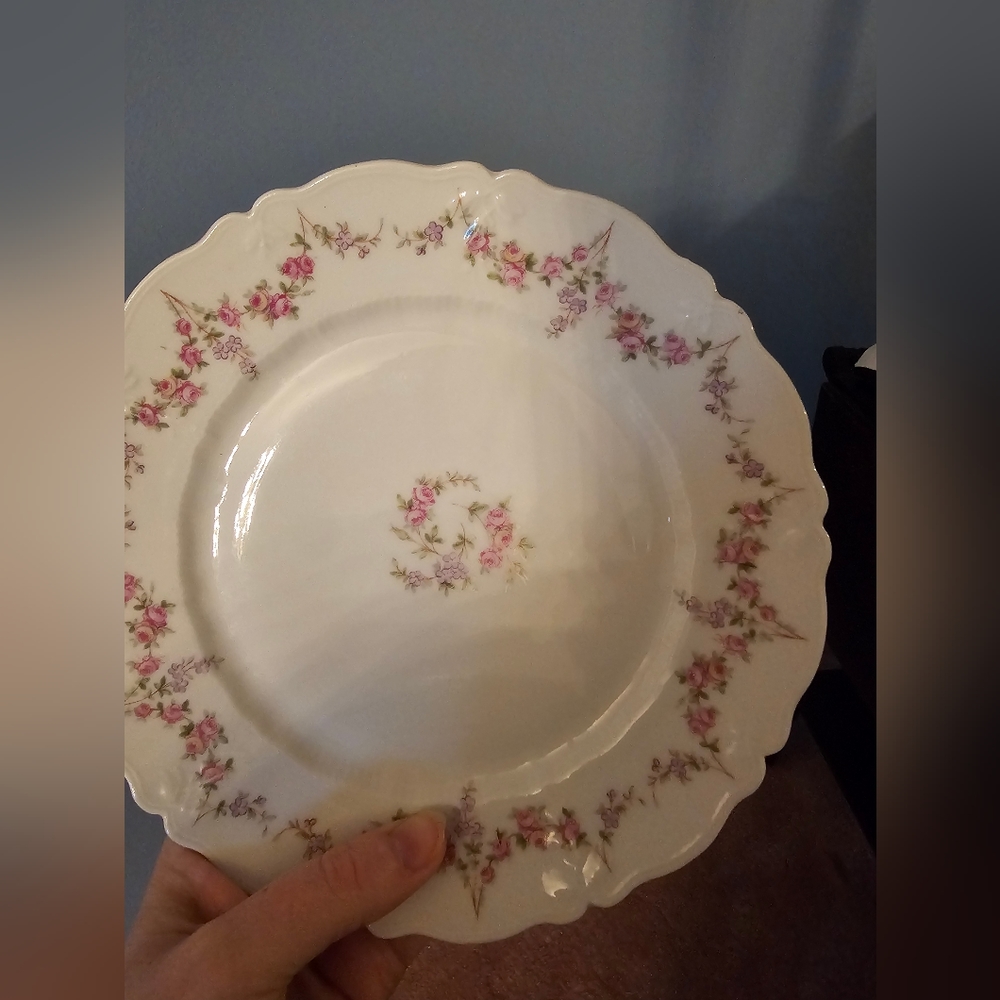 Beautiful Designer Plate